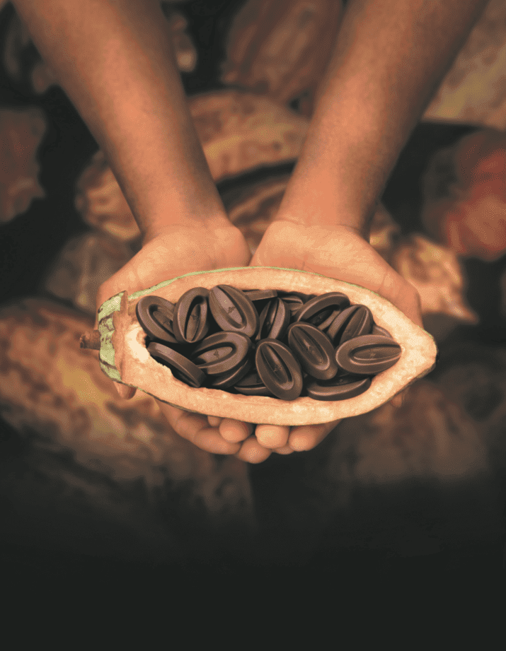 1825/VISUELS CONTENU/Partenaires/Valrhona_TemptingPlaces.png